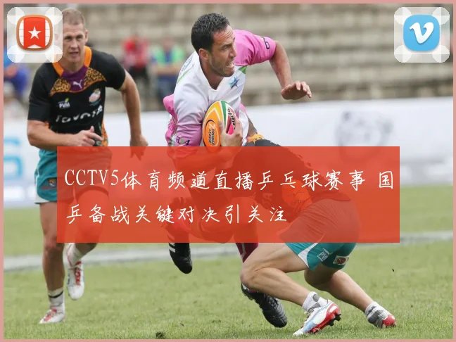 CCTV5体育频道直播乒乓球赛事 国乒备战关键对决引关注